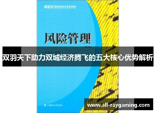 双羽天下助力双城经济腾飞的五大核心优势解析