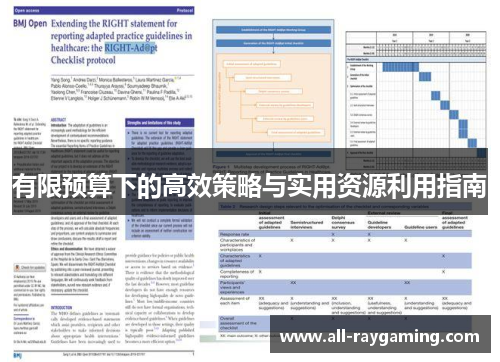 有限预算下的高效策略与实用资源利用指南