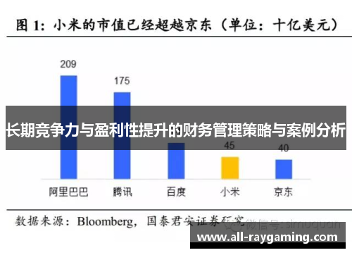 长期竞争力与盈利性提升的财务管理策略与案例分析