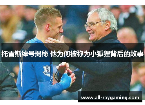 托雷斯绰号揭秘 他为何被称为小狐狸背后的故事 托雷斯绰号揭秘 他为何被称为小狐狸背后的故事