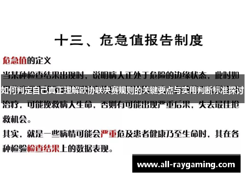 如何判定自己真正理解欧协联决赛规则的关键要点与实用判断标准探讨 如何判定自己真正理解欧协联决赛规则的关键要点与实用判断标准探讨